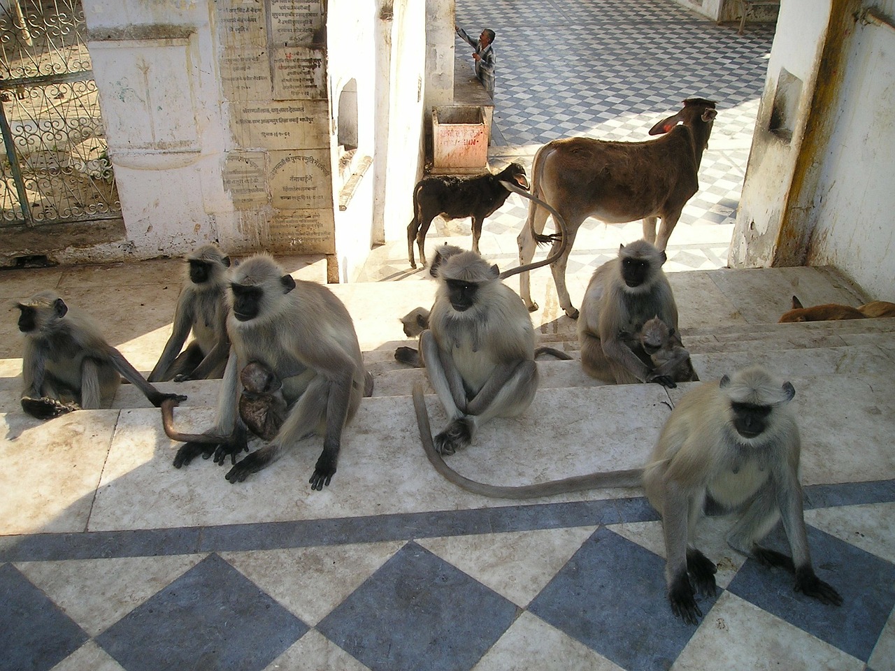 Blogger meetup2