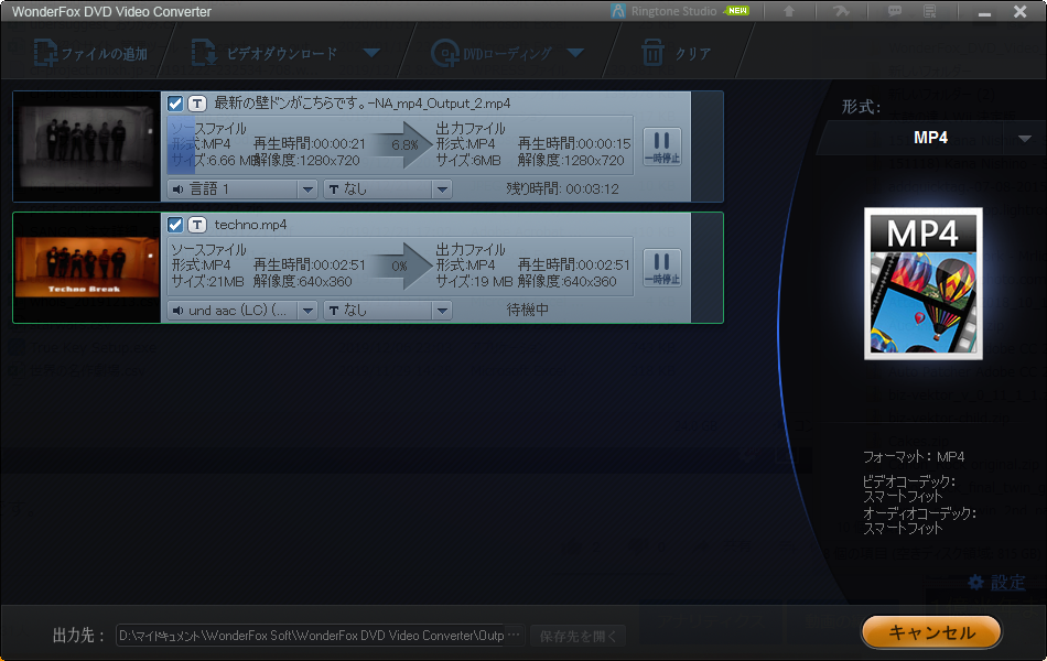 WonderFox_DVD_Video_Converter_img11