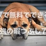 家で無料でできる最強の暇つぶし7選。アイキャッチ